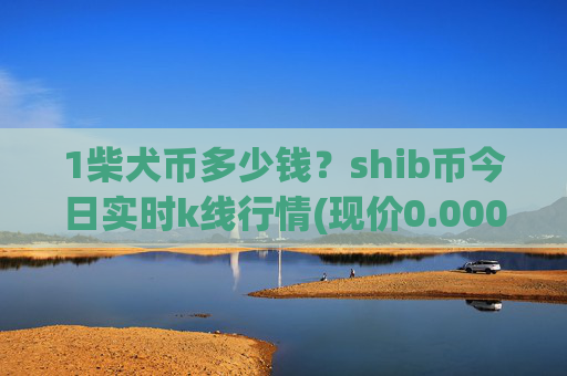 1柴犬币多少钱?shib币今日实时k线行情(现价0.00017171元)