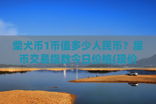 柴犬币1币值多少人民币?屎币交易指数今日价格(现价0.00017083元)