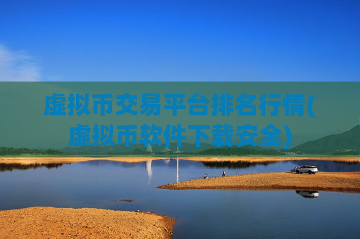 虚拟币交易平台排名行情(虚拟币软件下载安全)