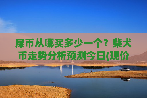 屎币从哪买多少一个?柴犬币走势分析预测今日(现价0.00017229元)