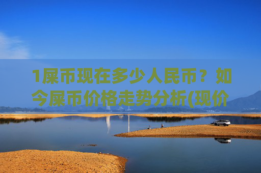 1屎币现在多少人民币?如今屎币价格走势分析(现价0.00017127元)