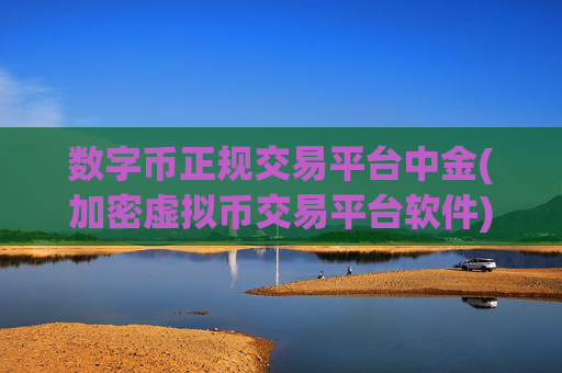 数字币正规交易平台中金(加密虚拟币交易平台软件)