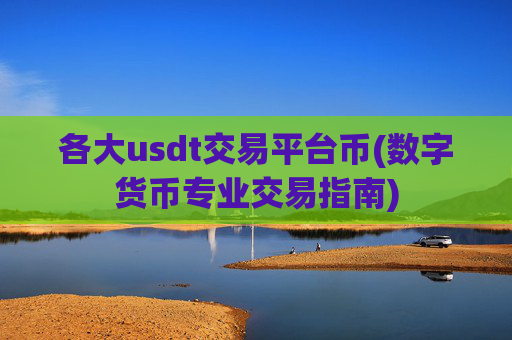 各大usdt交易平台币(数字货币专业交易指南)