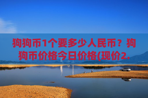 狗狗币1个要多少人民币？狗狗币价格今日价格(现价2.4505元)