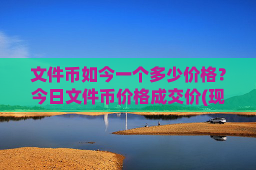 文件币如今一个多少价格?今日文件币价格成交价(现价38.6846元)