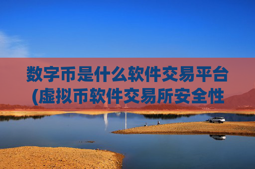 数字币是什么软件交易平台(虚拟币软件交易所安全性评测)