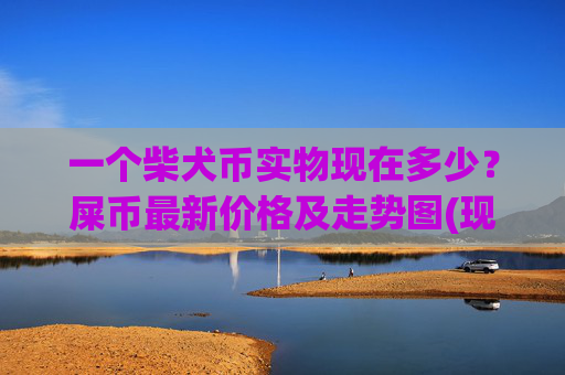 一个柴犬币实物现在多少?屎币最新价格及走势图(现价0.00017368元)