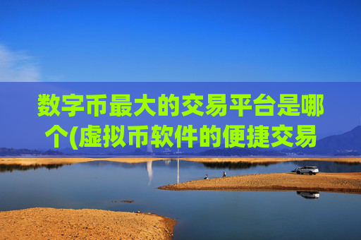 数字币最大的交易平台是哪个(虚拟币软件的便捷交易)