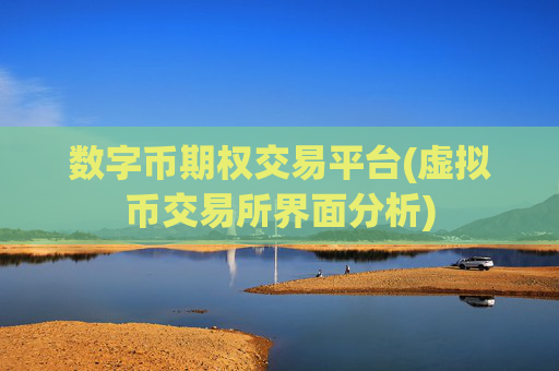 数字币期权交易平台(虚拟币交易所界面分析)
