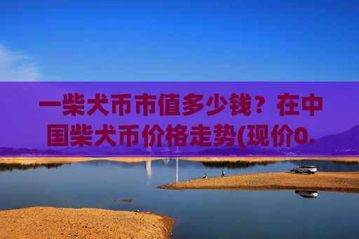 一柴犬币市值多少钱?在中国柴犬币价格走势(现价0.00017135元)