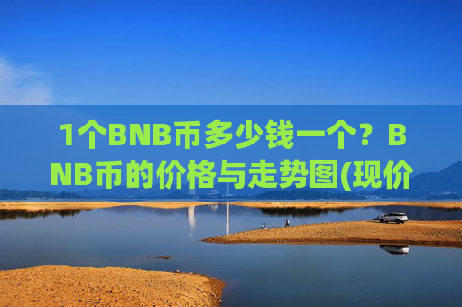 1个BNB币多少钱一个？BNB币的价格与走势图(现价4993.31元)