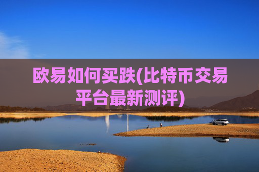 欧易如何买跌(比特币交易平台最新测评)