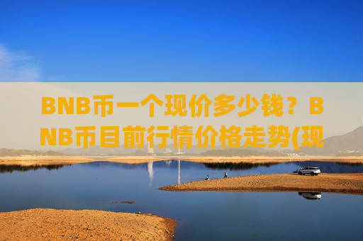BNB币一个现价多少钱?BNB币目前行情价格走势(现价4958.51元)