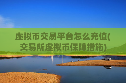 虚拟币交易平台怎么充值(交易所虚拟币保障措施)