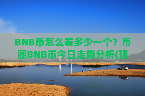 BNB币怎么看多少一个?币圈BNB币今日走势分析(现价4953.63元)