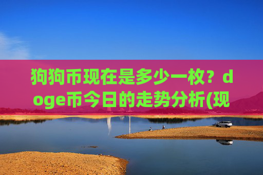 狗狗币现在是多少一枚?doge币今日的走势分析(现价2.5207元)