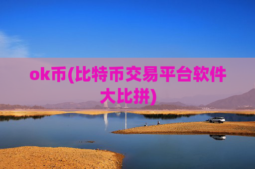 ok币(比特币交易平台软件大比拼)
