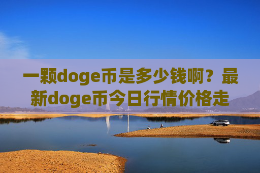 一颗doge币是多少钱啊?最新doge币今日行情价格走势图(现价2.4546元)