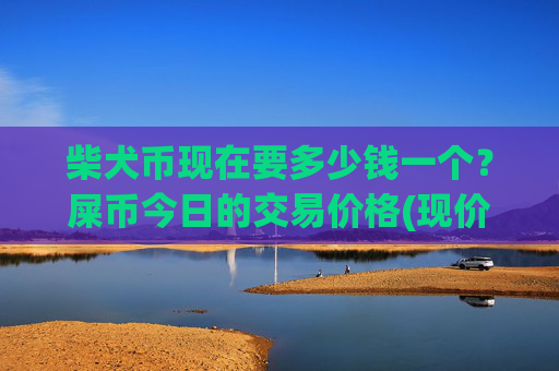 柴犬币现在要多少钱一个?屎币今日的交易价格(现价0.00016901元)