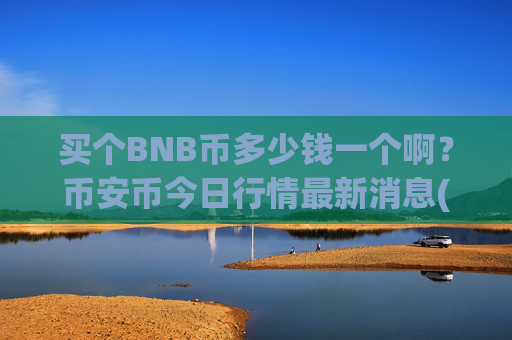 买个BNB币多少钱一个啊?币安币今日行情最新消息(现价5043.2元)