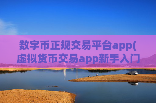 数字币正规交易平台app(虚拟货币交易app新手入门指南)