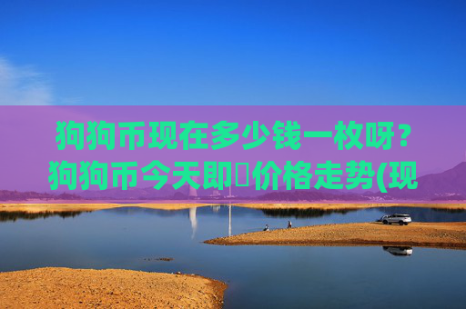 狗狗币现在多少钱一枚呀?狗狗币今天即時价格走势(现价2.4185元)