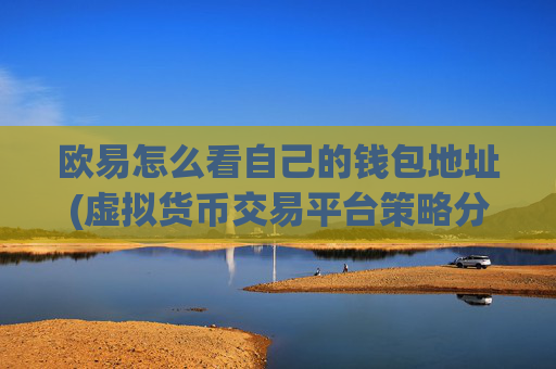 欧易怎么看自己的钱包地址(虚拟货币交易平台策略分享)