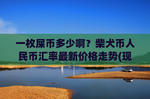 一枚屎币多少啊?柴犬币人民币汇率最新价格走势(现价0.00016733元)