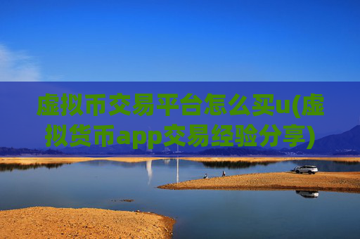 虚拟币交易平台怎么买u(虚拟货币app交易经验分享)