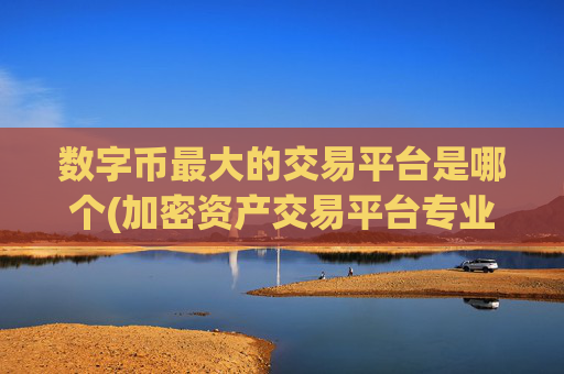 数字币最大的交易平台是哪个(加密资产交易平台专业评估)