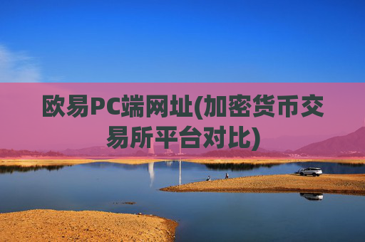 欧易PC端网址(加密货币交易所平台对比)