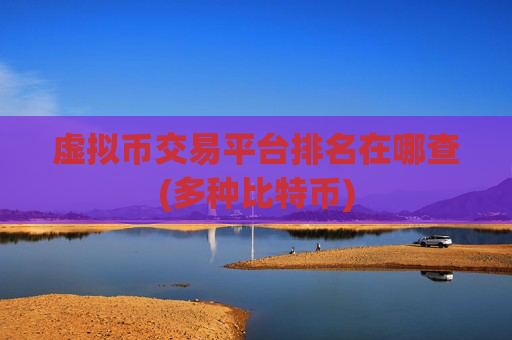 虚拟币交易平台排名在哪查(多种比特币)