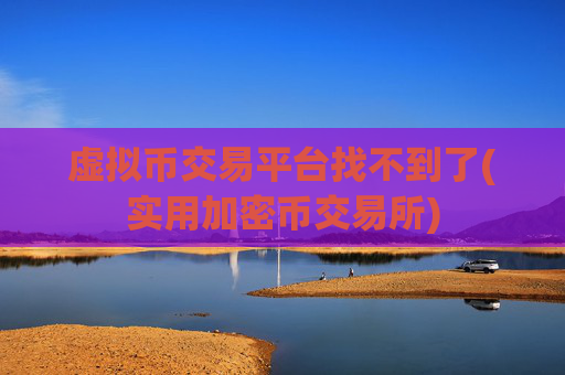 虚拟币交易平台找不到了(实用加密币交易所)