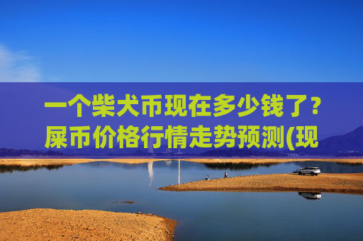 一个柴犬币现在多少钱了?屎币价格行情走势预测(现价0.00017178元)