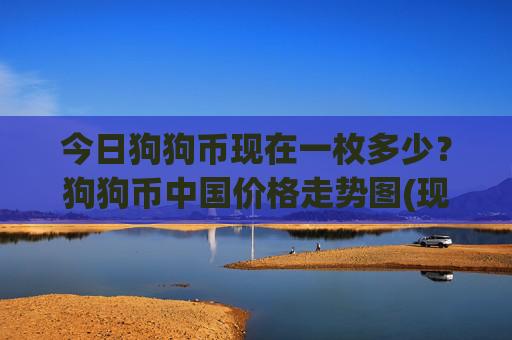 今日狗狗币现在一枚多少?狗狗币中国价格走势图(现价2.5336元)
