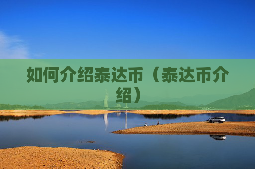 如何介绍泰达币(泰达币介绍)