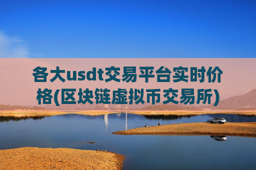 各大usdt交易平台实时价格(区块链虚拟币交易所)
