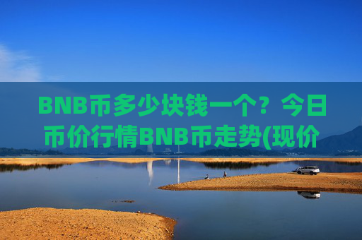 BNB币多少块钱一个?今日币价行情BNB币走势(现价4803.07元)