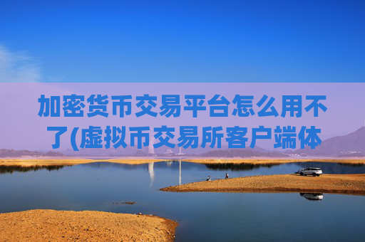 加密货币交易平台怎么用不了(虚拟币交易所客户端体验分享)