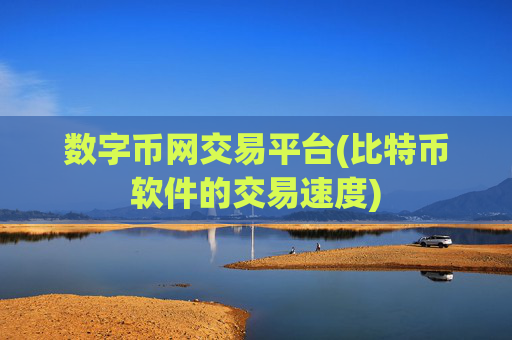 数字币网交易平台(比特币软件的交易速度)