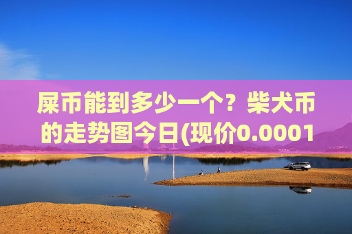 屎币能到多少一个?柴犬币的走势图今日(现价0.00017229元)