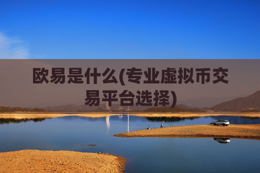 欧易是什么(专业虚拟币交易平台选择)