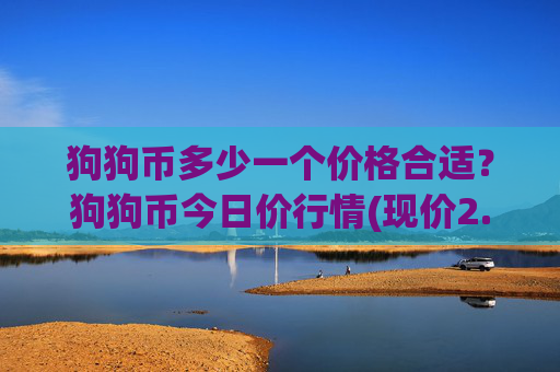 狗狗币多少一个价格合适？狗狗币今日价行情(现价2.514元)