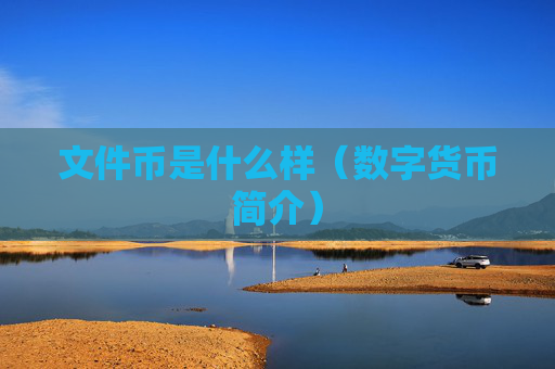 文件币是什么样（数字货币简介）