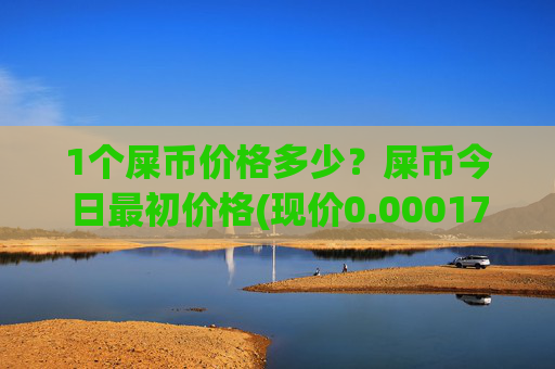 1个屎币价格多少?屎币今日最初价格(现价0.00017127元)