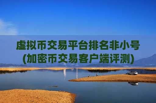 虚拟币交易平台排名非小号(加密币交易客户端评测)
