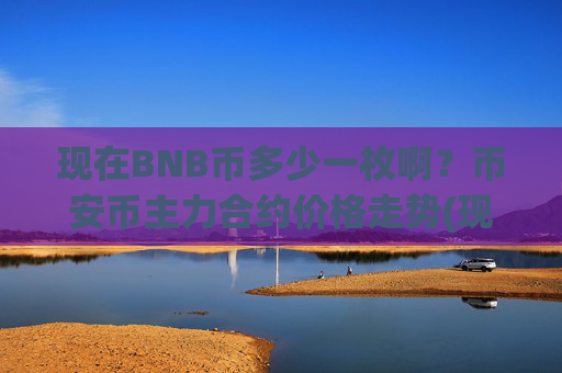 现在BNB币多少一枚啊?币安币主力合约价格走势(现价5005.85元)