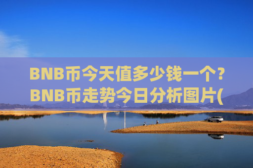 BNB币今天值多少钱一个？BNB币走势今日分析图片(现价5033.5元)