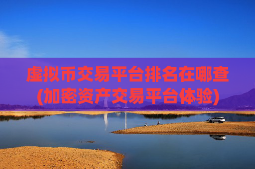 虚拟币交易平台排名在哪查(加密资产交易平台体验)