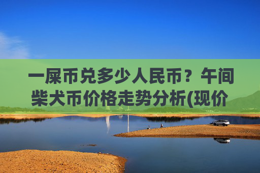 一屎币兑多少人民币？午间柴犬币价格走势分析(现价0.00016515元)
